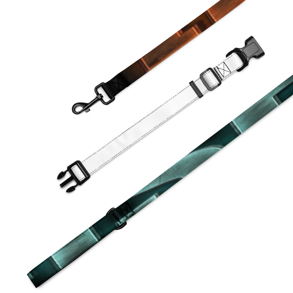 Fish Dog Pet Collar & Leash Set