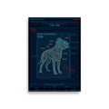 FD-01 Specimen Poster (Unframed)