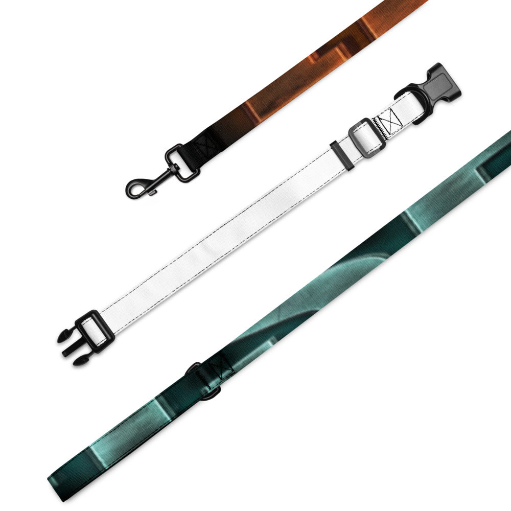 Fish Dog Pet Collar & Leash Set